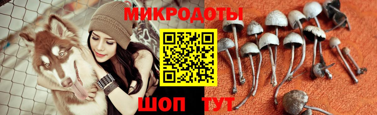 Изобильный  Галлюциногенные грибы прущие грибы  Вход с VPN 